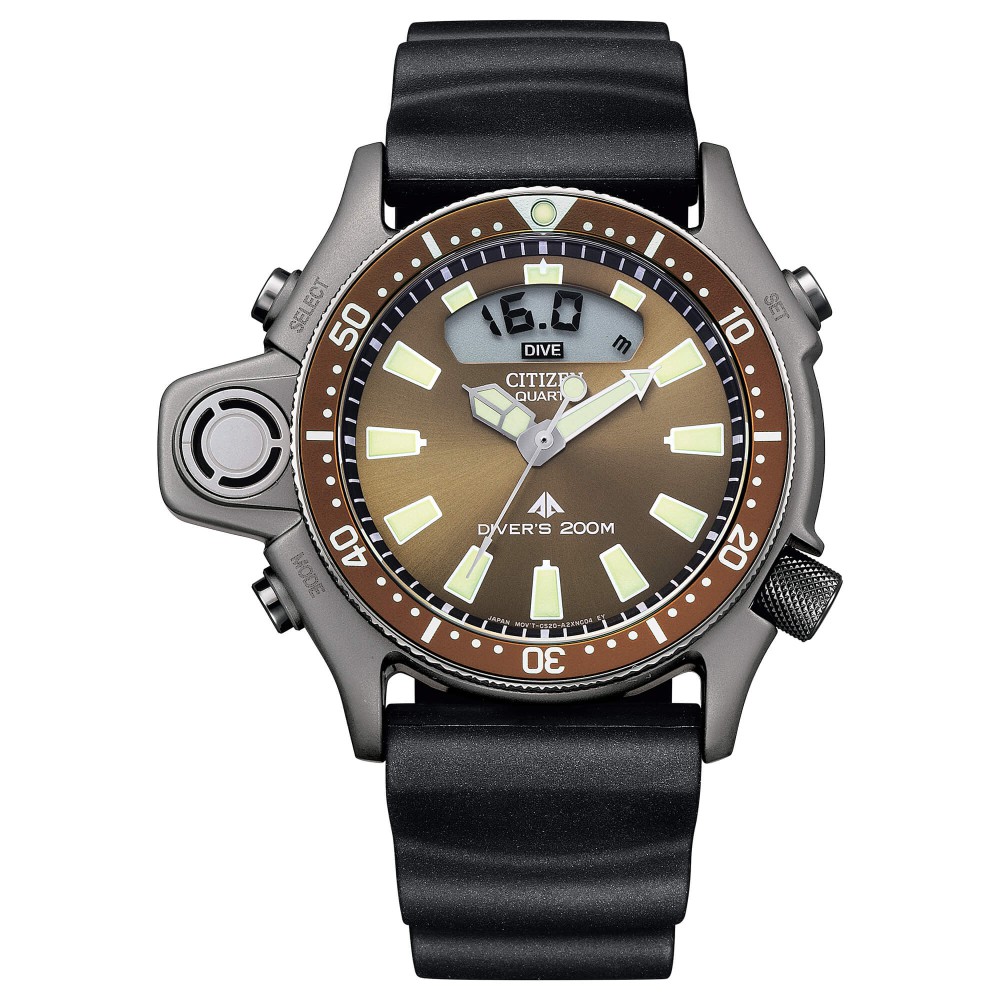 Watches Citizen Promaster